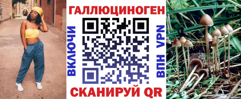 где продают   Оха  Псилоцибиновые грибы Magic Shrooms 